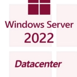 Microsoft Windows Server 2022 Datacenter