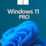 Microsoft Windows 11 Professional Lizenz für 3 PC