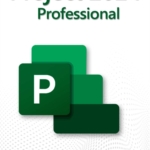 Microsoft Project 2024 Professional Lizenz für 3 PC