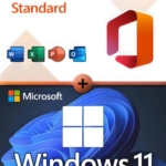 Microsoft Office 2024 Standard + Microsoft Windows 11 Professional für 3 PC