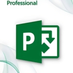 Microsoft Project 2019 Professional für 3 PC