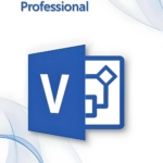 Microsoft Visio 2019 Professional für 3 PC