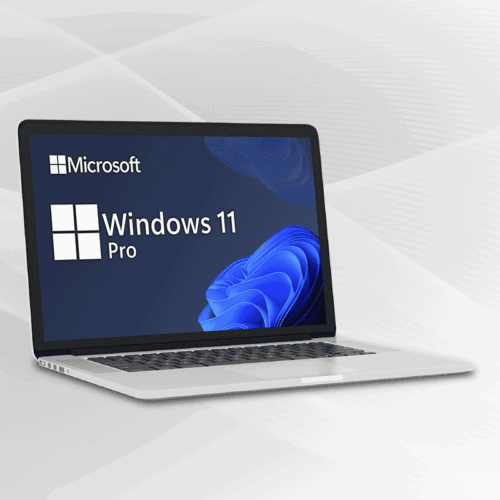 Microsoft Windows 11 Professional + Microsoft Office 2019 Standard Lizenz für 3 PC