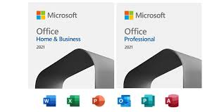 Microsoft Office Professional Plus 2016 vs. Home & Student/Business