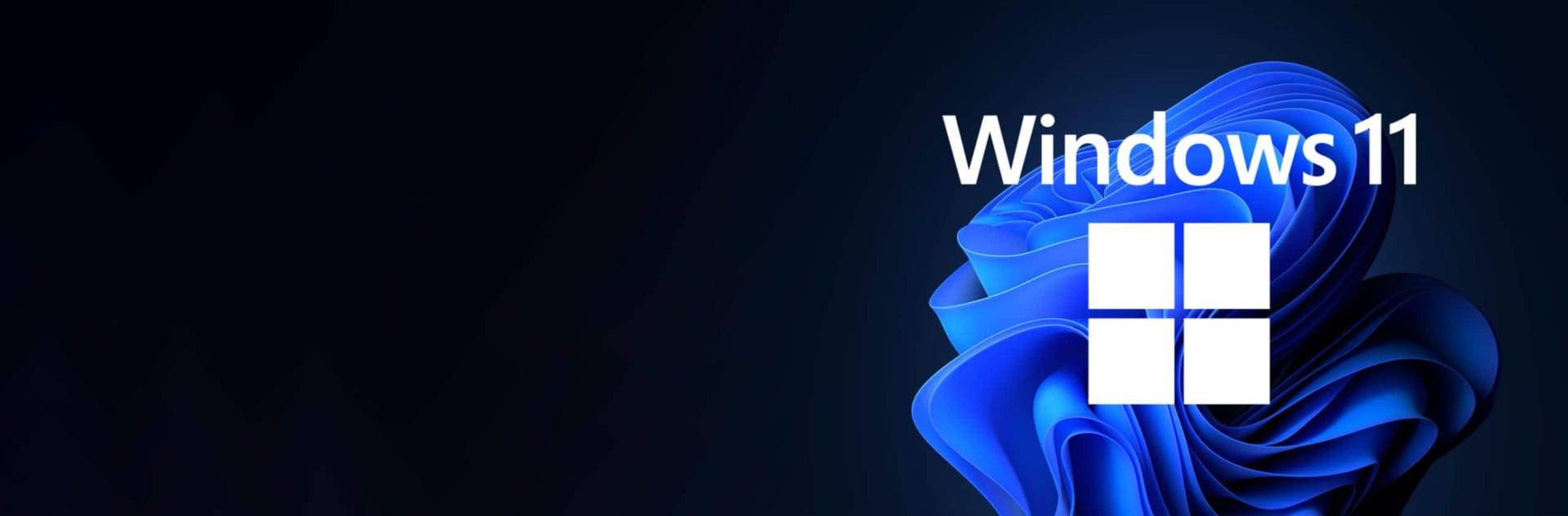 windows 11